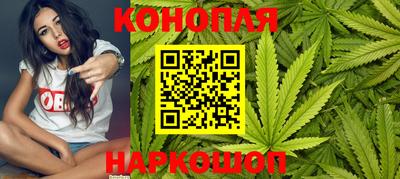 прущие грибы Рузаевка