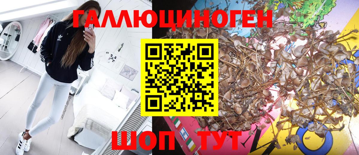 Саров  Галлюциногенные грибы Magic Shrooms  Галлюциногенные грибы прущие грибы  Вход с VPN 