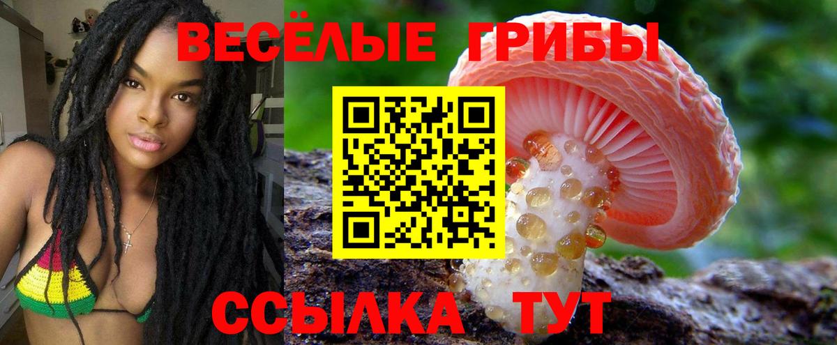 Галлюциногенные грибы GOLDEN TEACHER Саров